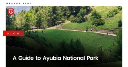 A Guide to Ayubia National Park