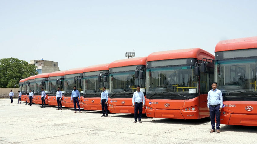 PBS Buses Line-up
