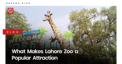 What Makes Lahore Zoo a Popular Attraction?