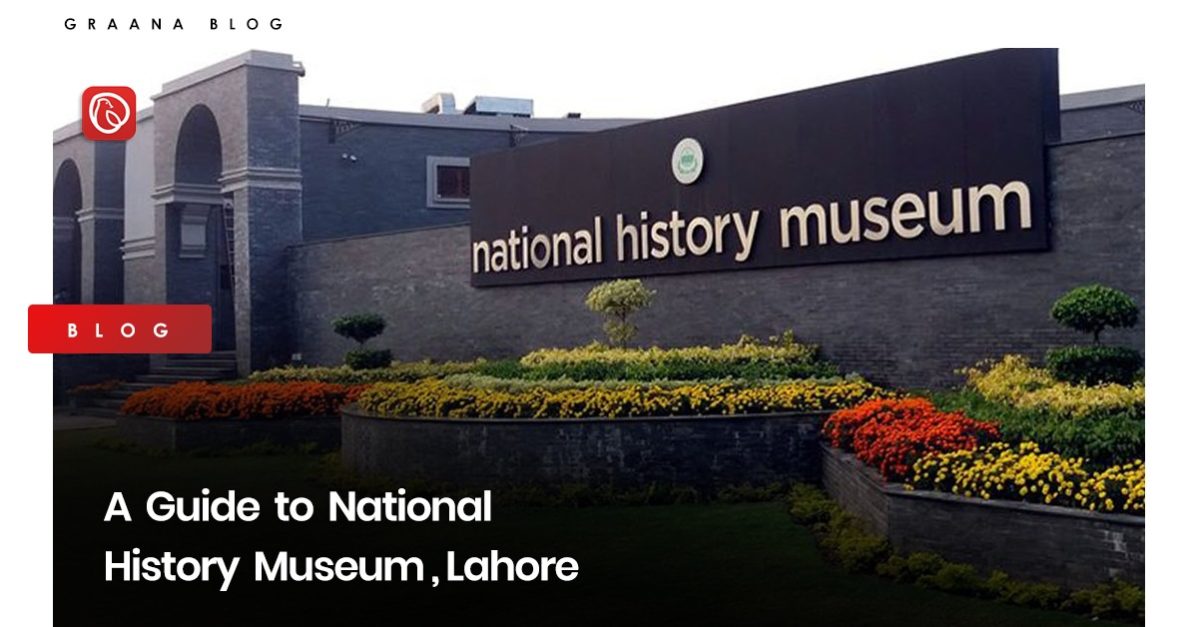 Blog Image for A Guide to National History Museum, Lahore