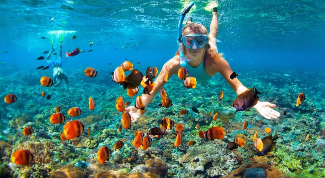 a swimmer doing scuba diving under water along with fishes