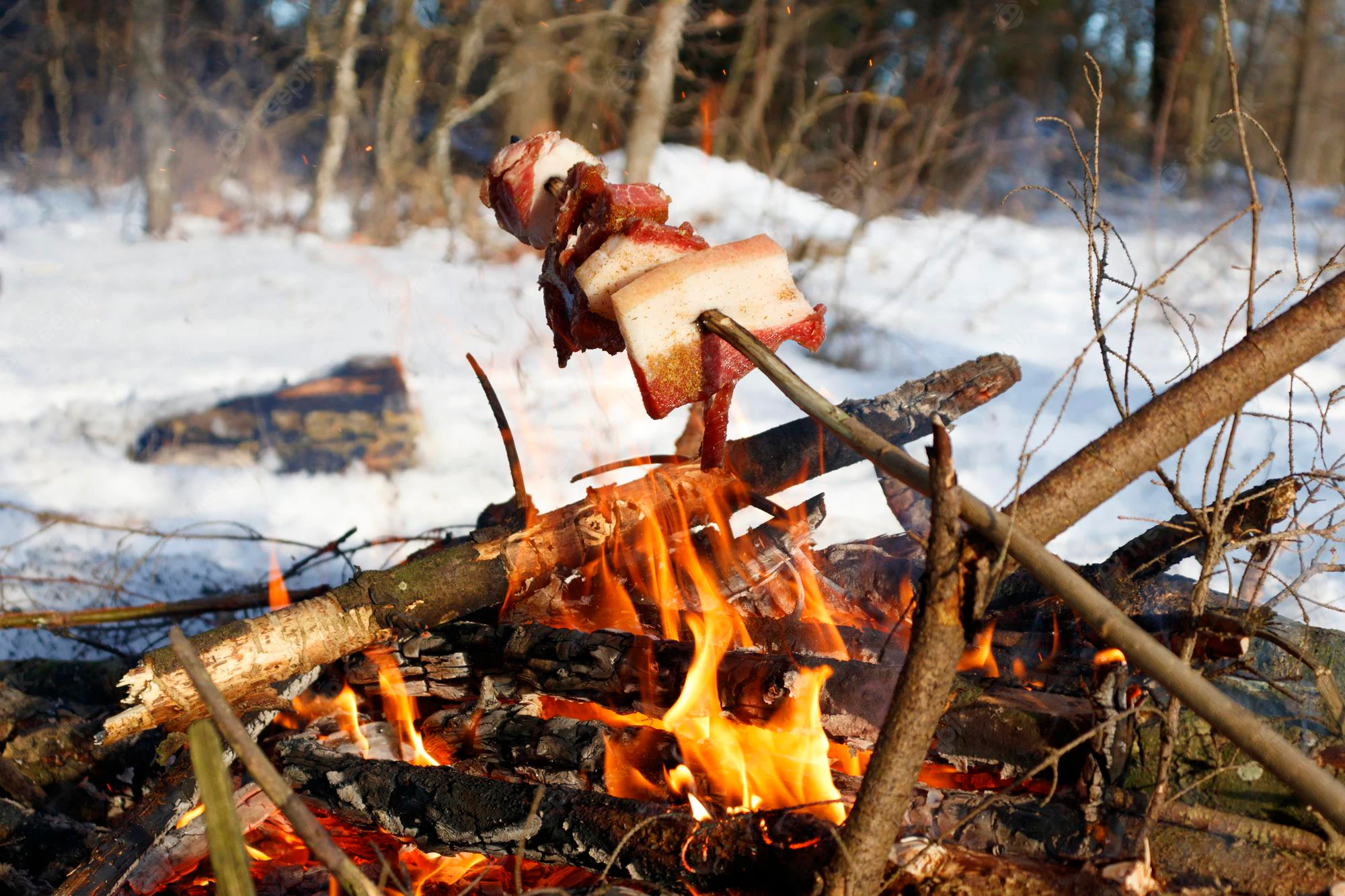 cooking-meat at campfire-