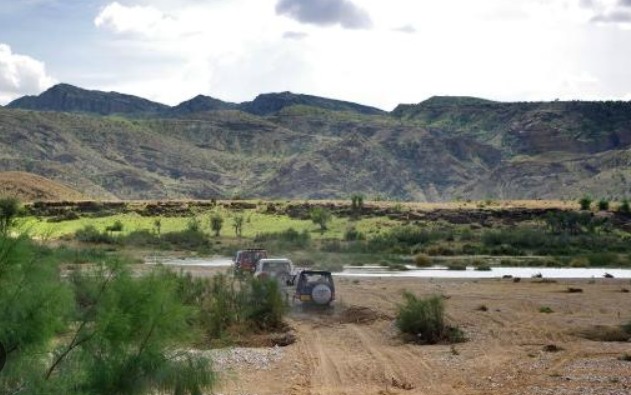 bushes in the view of landscape of kirthar national park