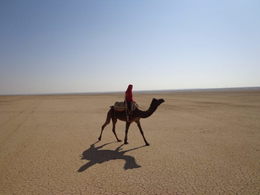 All you need to know about Thar Desert