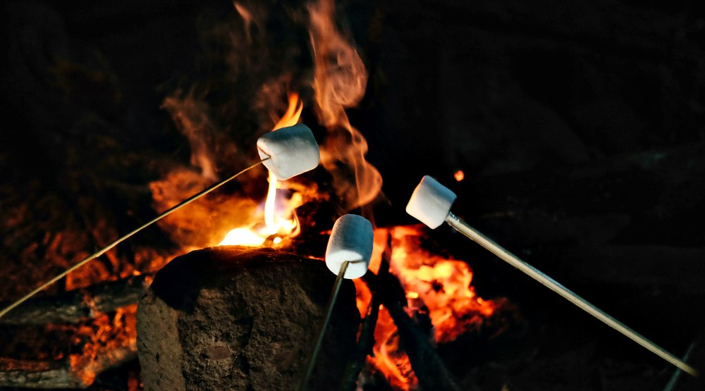 roasting marshmallows with stick at bonfire