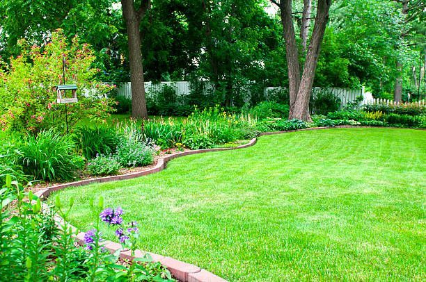 garden with navigated path