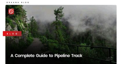 A Complete Guide to Pipeline Track
