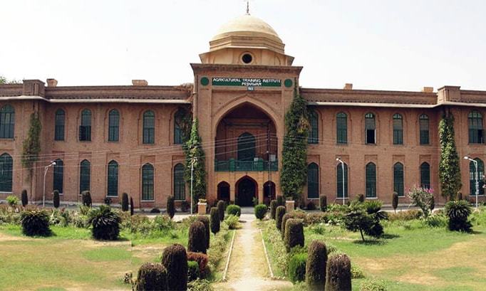 the exterior view of AUP Peshawar building