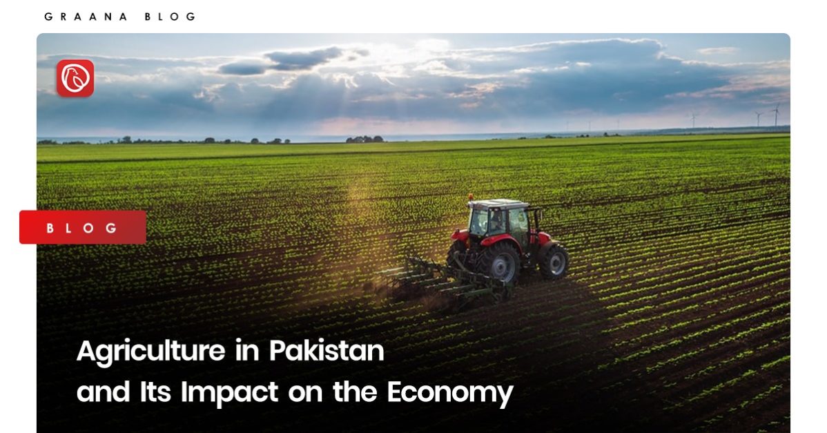 Agriculture in Pakistan blog image