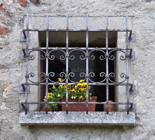 gothic iron window grill 