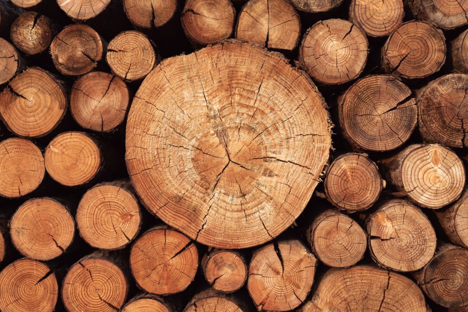 top view of several logs alligned