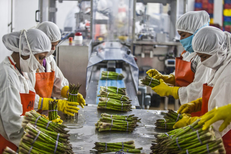 workers packing vegetables