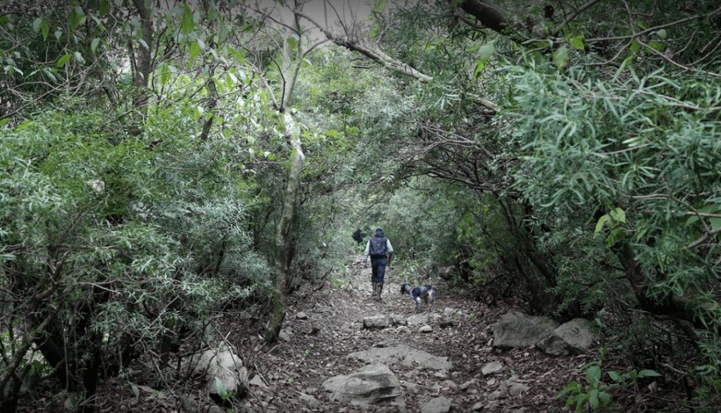 Hiking Trail