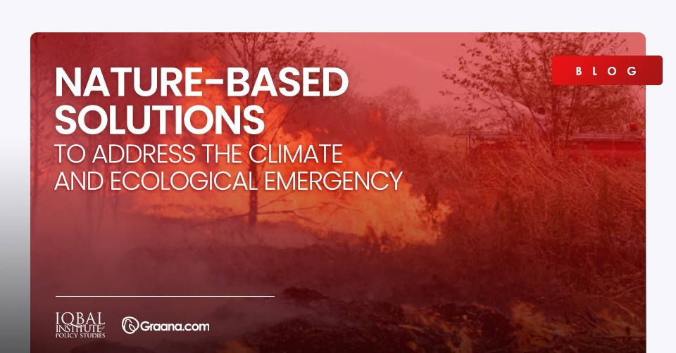 Nature-Based Solutions to Address the Climate and Ecological Emergency