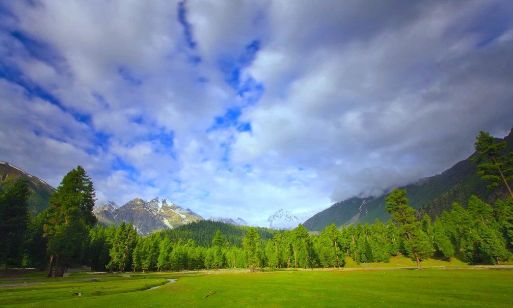 panoramic view of rama meadows