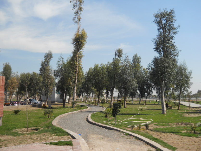 a pathway of hill park shangla hill