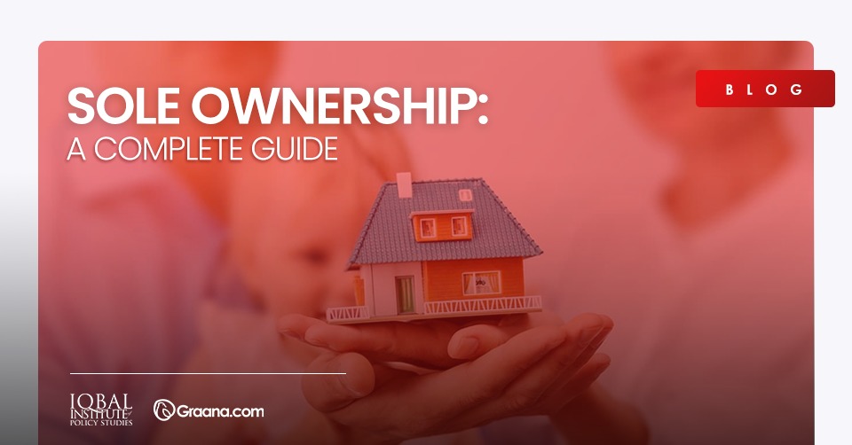 Sole Ownership: A Complete Guide