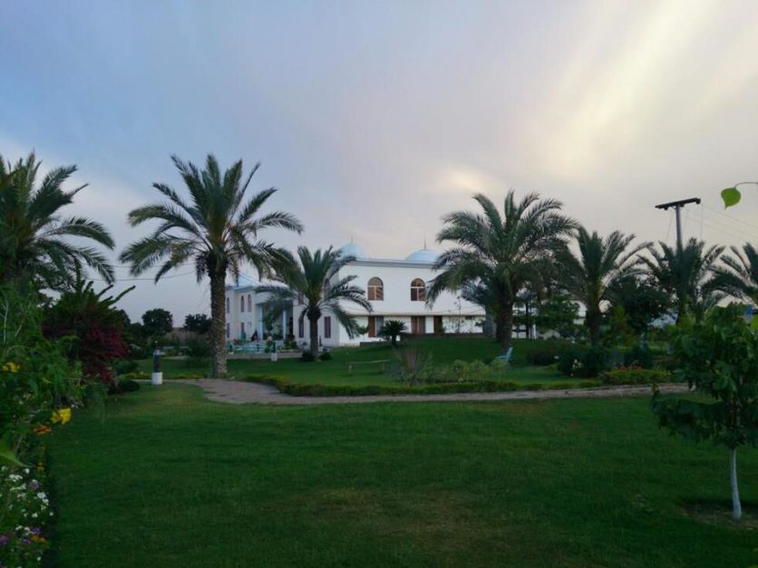 A lawn and trees in house in Mailsi