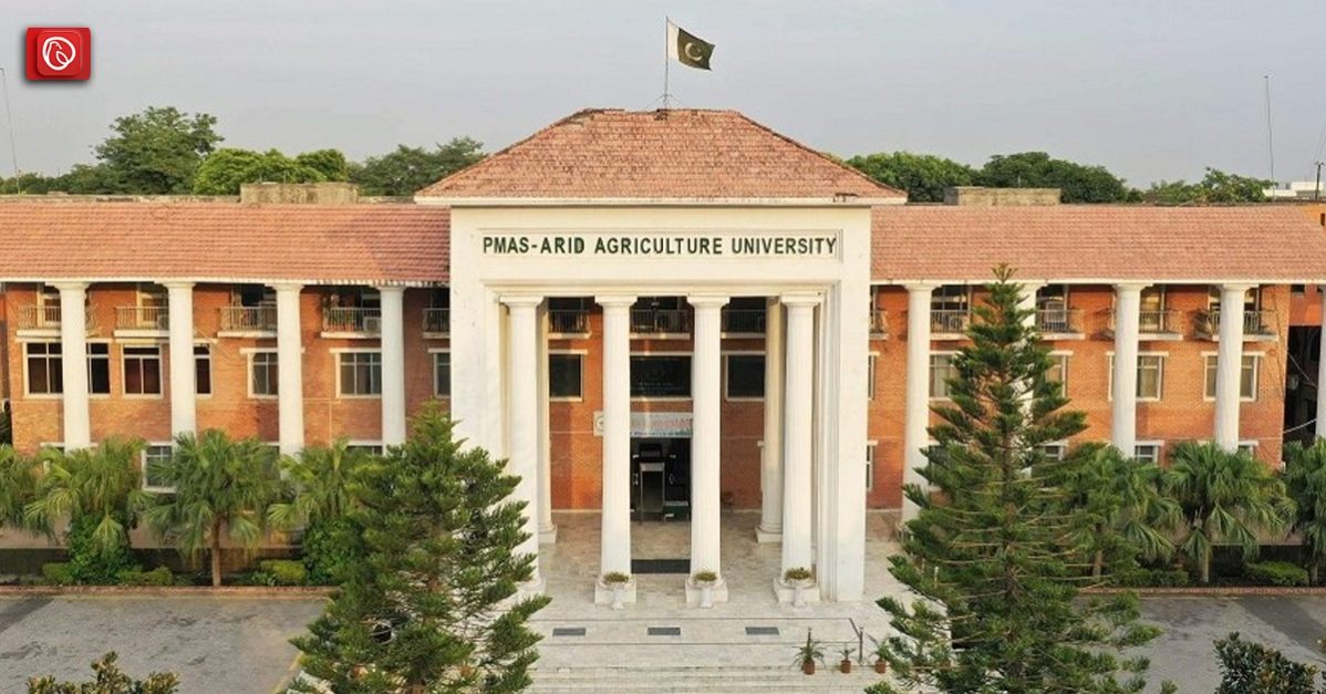 PMAS Arid Agriculture University