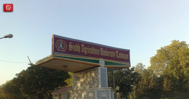 An Overview of Sindh Agriculture University
