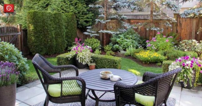 Top Garden Ideas For Your Outdoor Space Graana