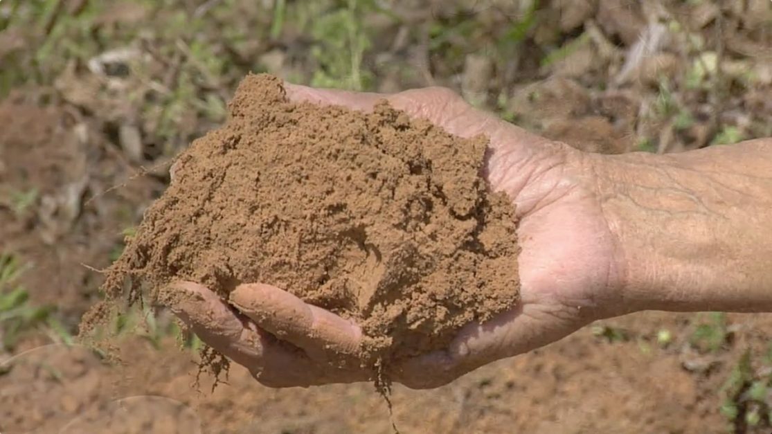 a man holding Silt in hand