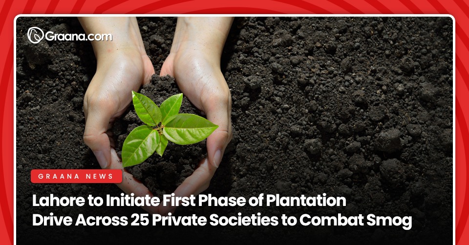 Lahore to Initiate First Phase of Plantation Drive Across 25 Private Societies to Combat Smog