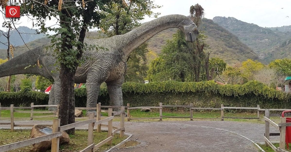 Exploring Dino Park Islamabad