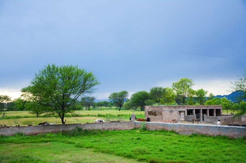 Agriculture in Mandi Bahauddin 