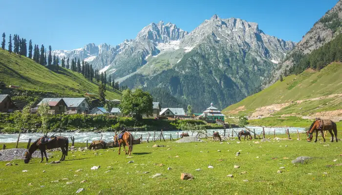 meadow with majestic mountains in the background