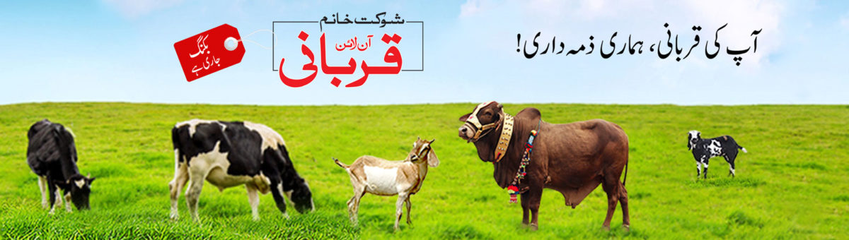 shaukat khanum qurbani poster