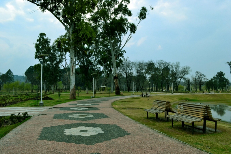 Walking area in the garden