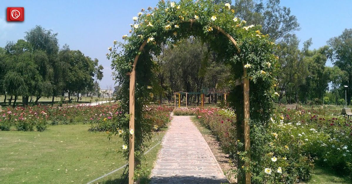 Rose-and-Jasmine-Garden-Islamabad.jpg