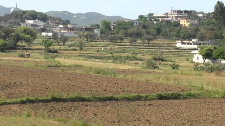 field in Rajdhani