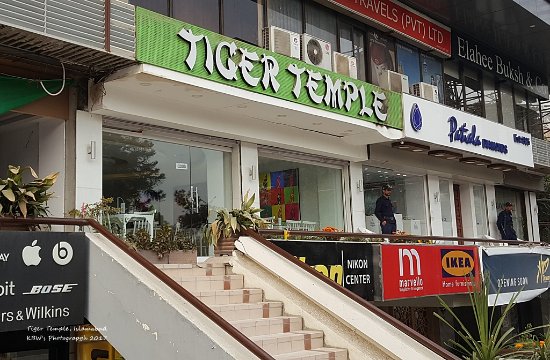 tiger temple islamabad beverly center Islamabad