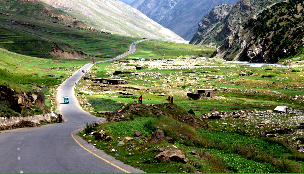 a road and greenery on the both sides of road 