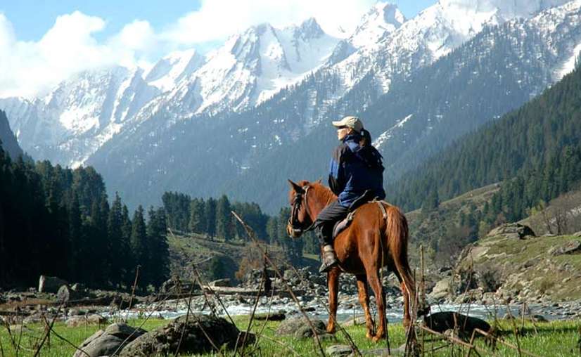 a girl riding a horse