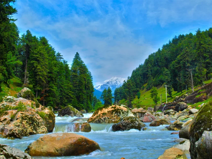 a stream flowing through the lush green valley of kashmir