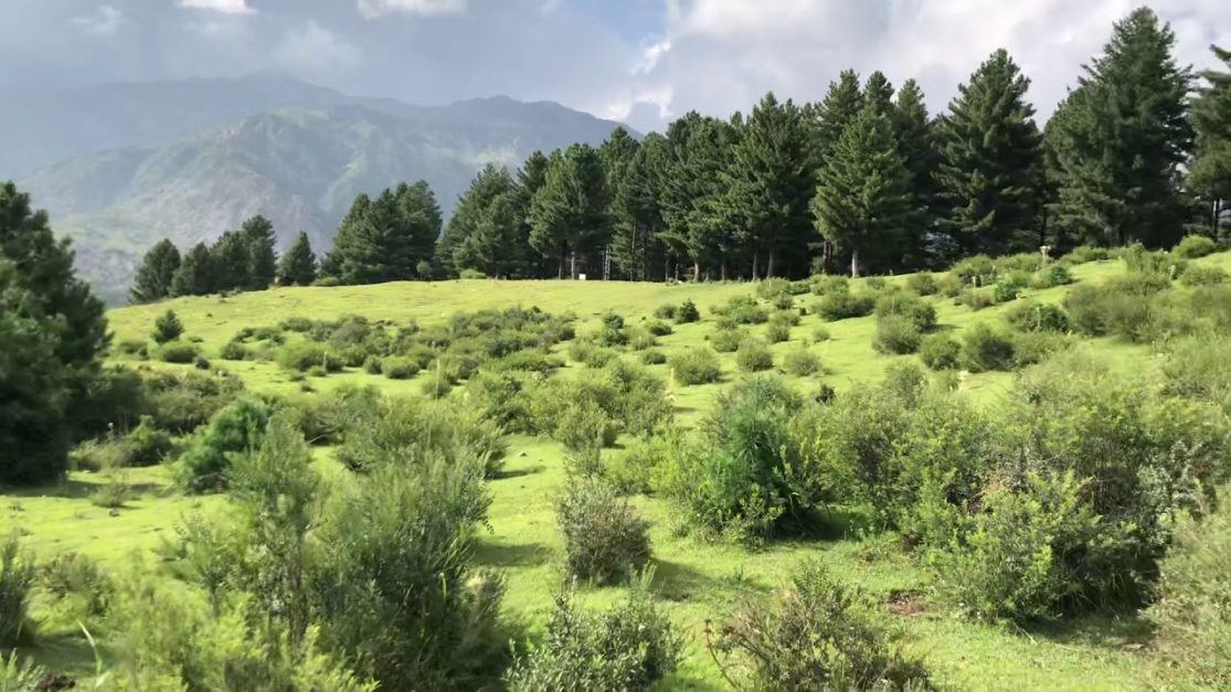 bagh e laila parachinar