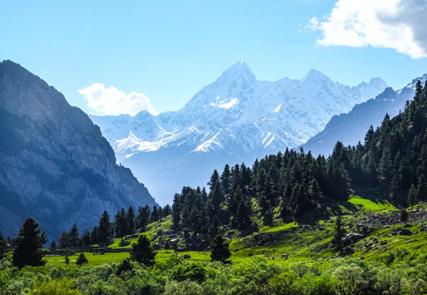 a greenery with mountains in the back