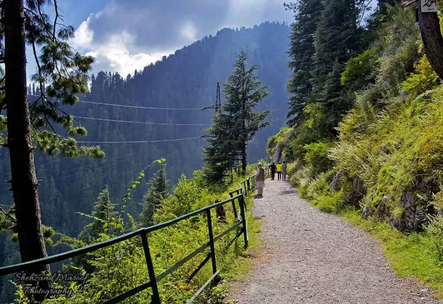 trail in Nathia Gali