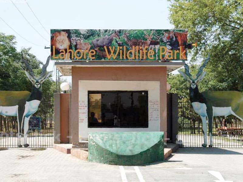 entrance of the Lahore Wildlife Park