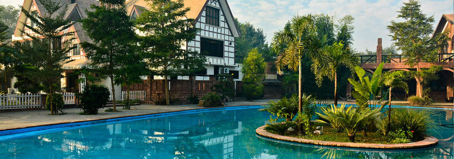 swimming pool and plants in the middle of the pool