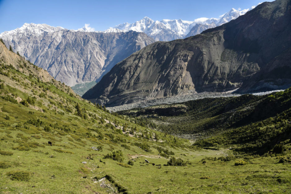 the trail of Minapin To Rakaposhi Base Camp