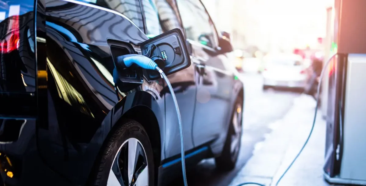 National Electric Vehicle Policy (2019)