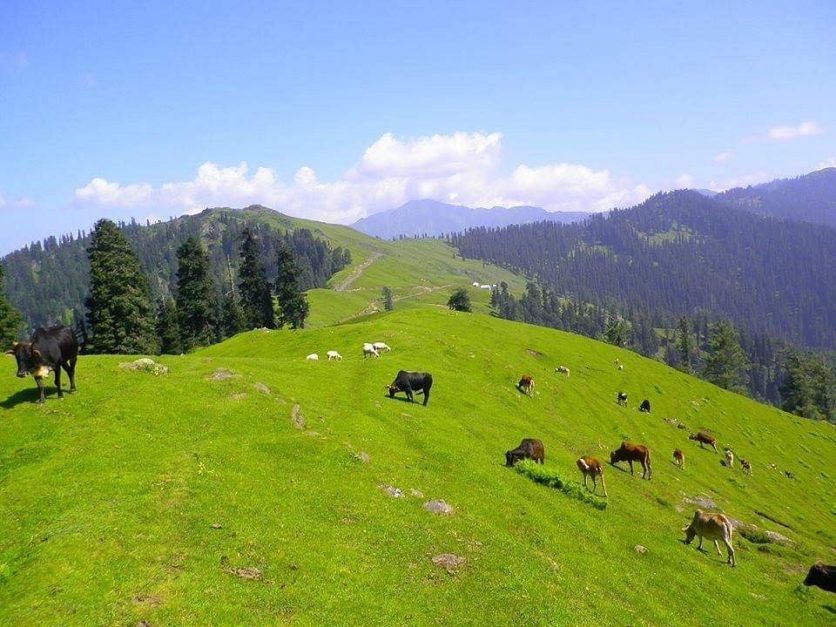 Panjal Mastan National Park 