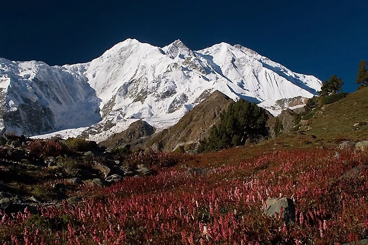 Rakaposhi mountain