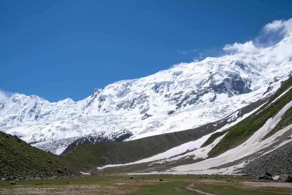 Greenery at Rakaposhi Base Camp 