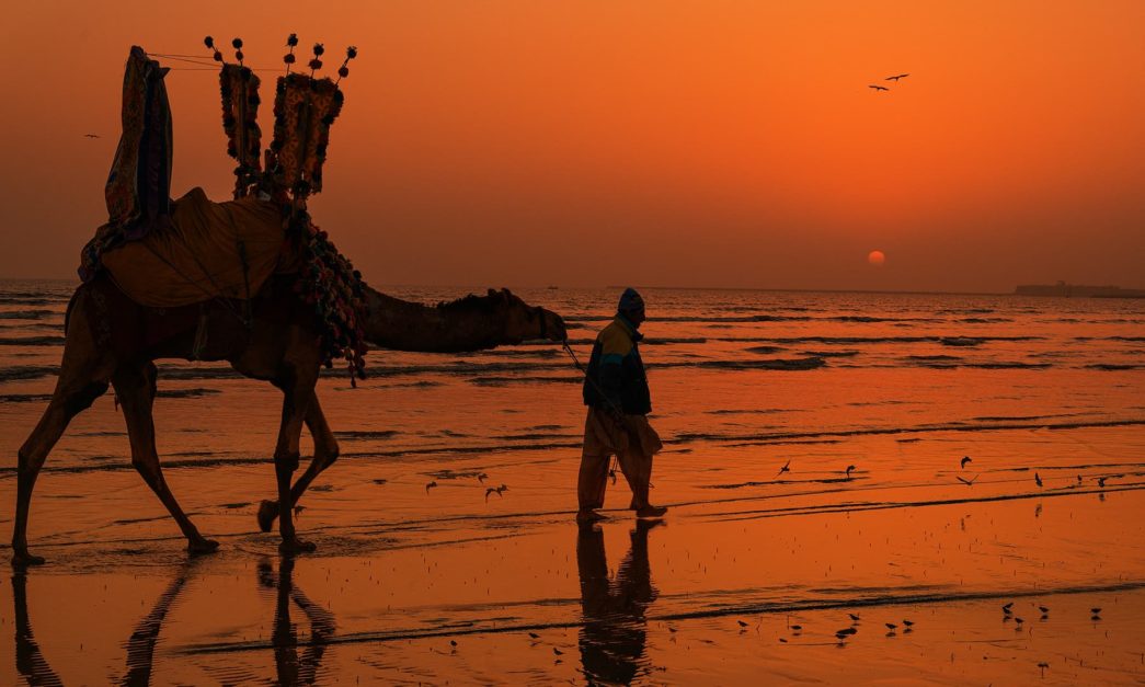 Man is carrying Camel at Beach