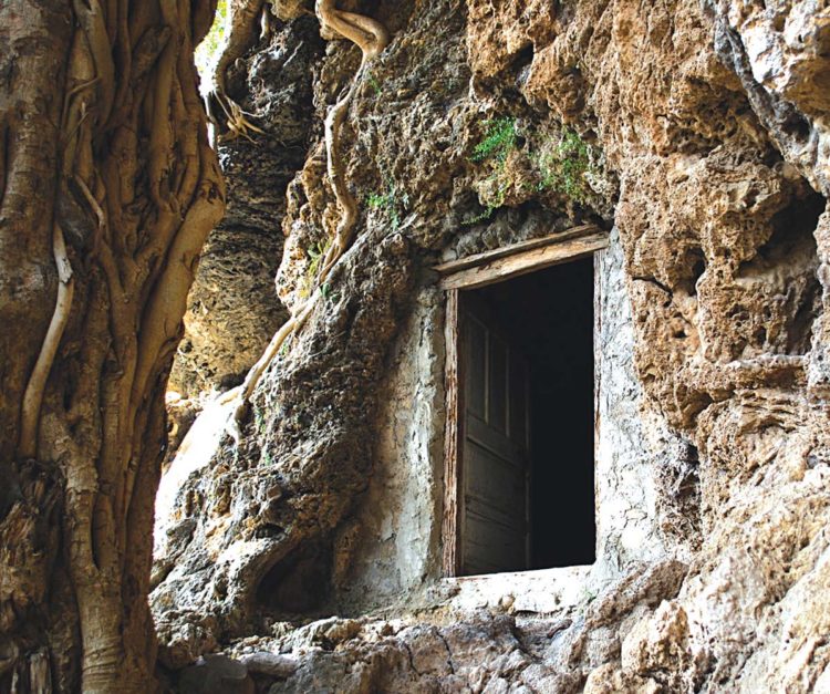 a window AT Shah Allah Ditta